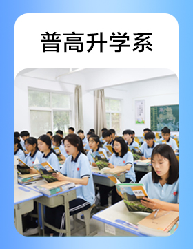 普高升学系